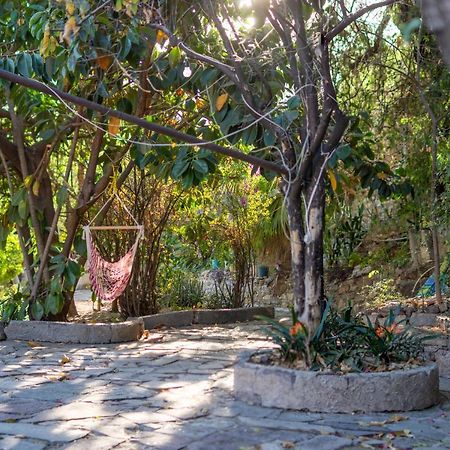 Casa Ikal Hotel Guanajuato Eksteriør billede